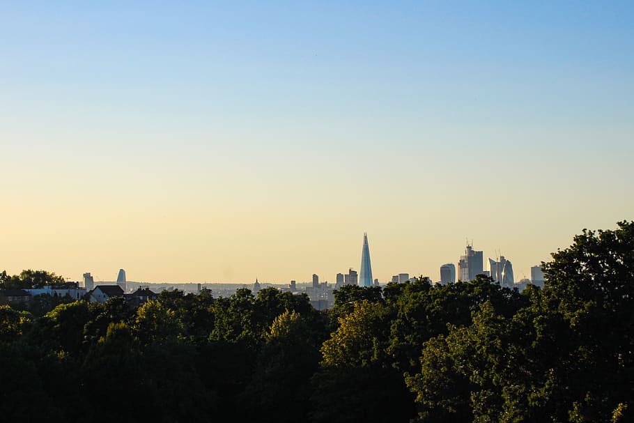 London, Skyline, London Skyline, Shard, Sunset, City, - Tree - HD Wallpaper 