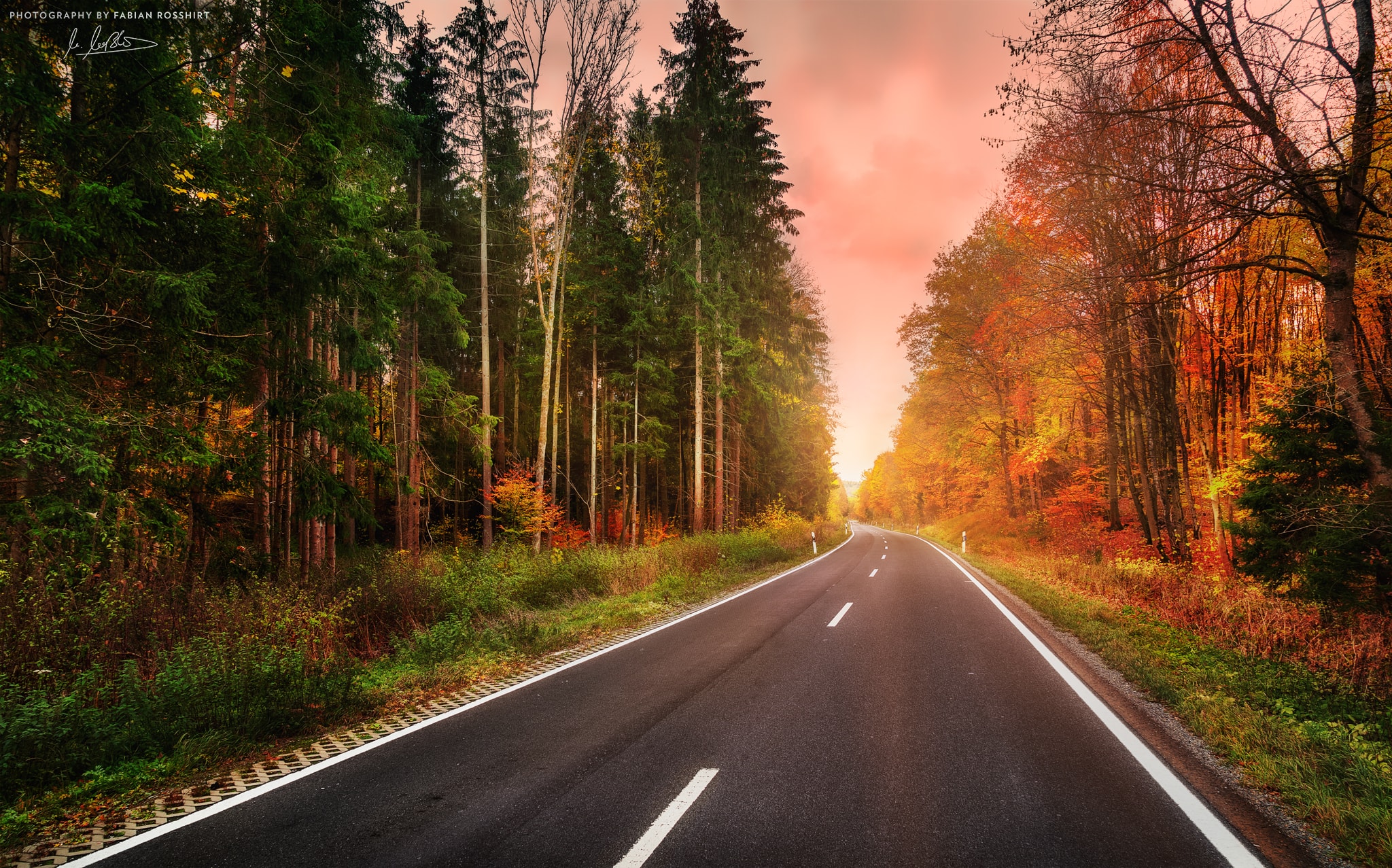 Gramschatzer Wald, Herbst, Autumn, Straße, Street, - Freeway - HD Wallpaper 