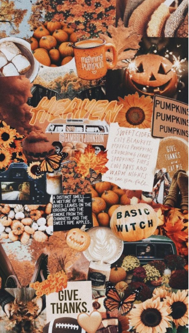 Aesthetic Fall Background - HD Wallpaper 