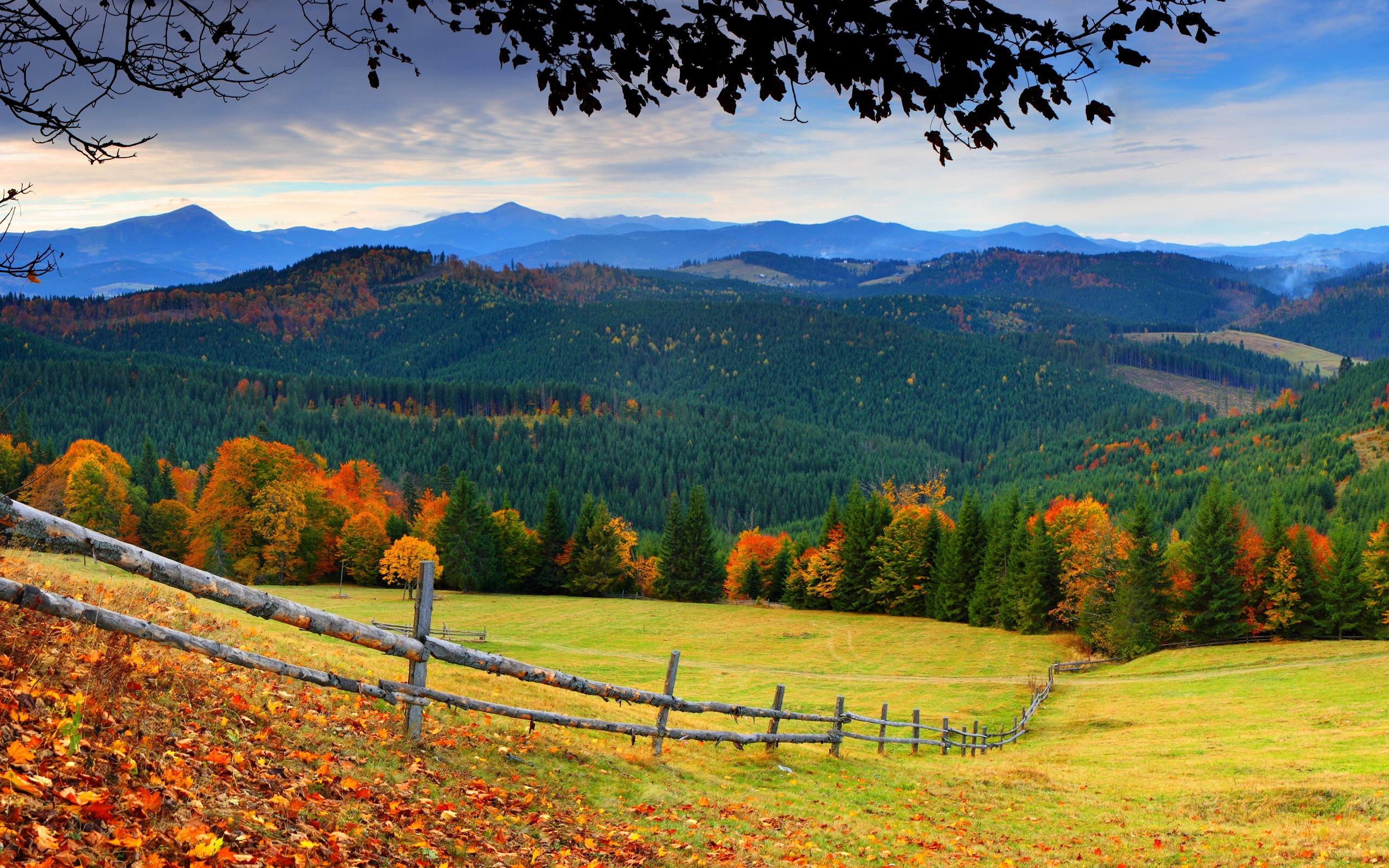 Wallpaper Forest, Trees, Mountains, Grass, Leaves, - Autumn Countryside - HD Wallpaper 