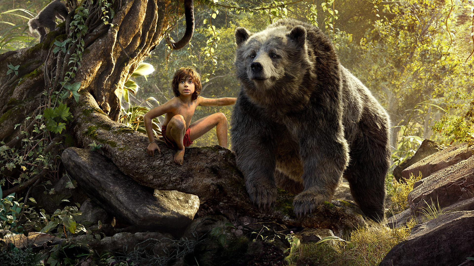 Balu In Jungle Book - HD Wallpaper 