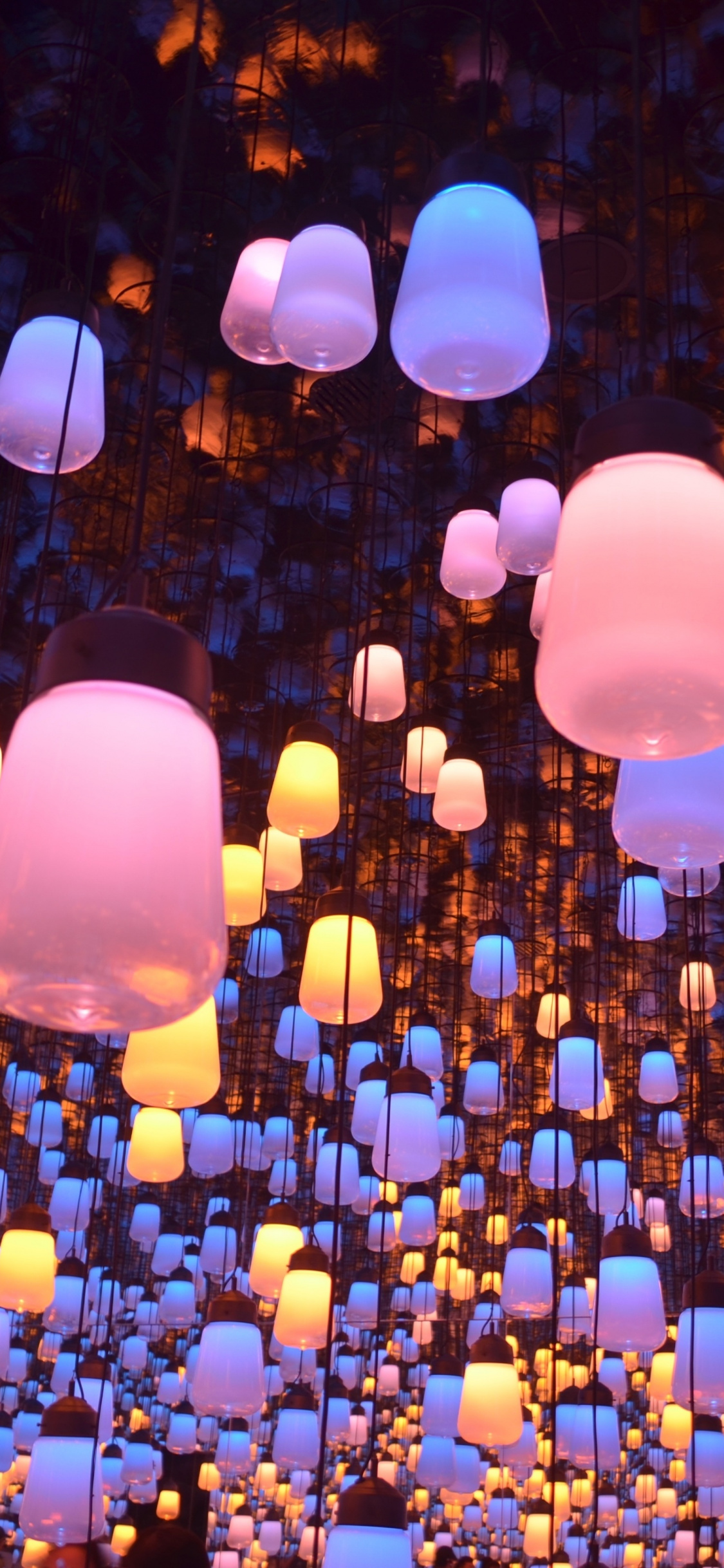 Decoration, Night, Lanterns, Lighting, Exhibition, - HD Wallpaper 