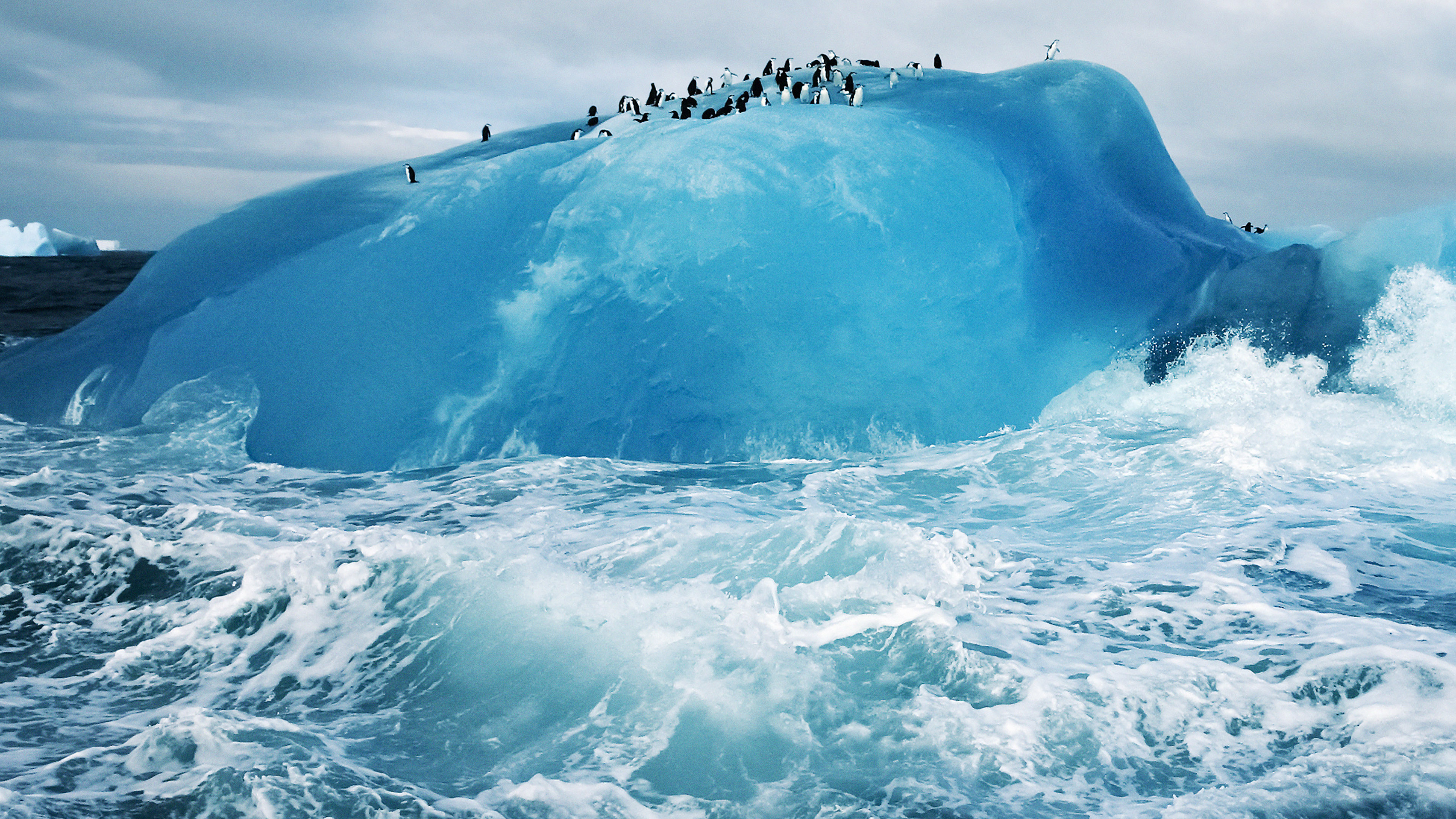 Penguins On Blue Ice - HD Wallpaper 