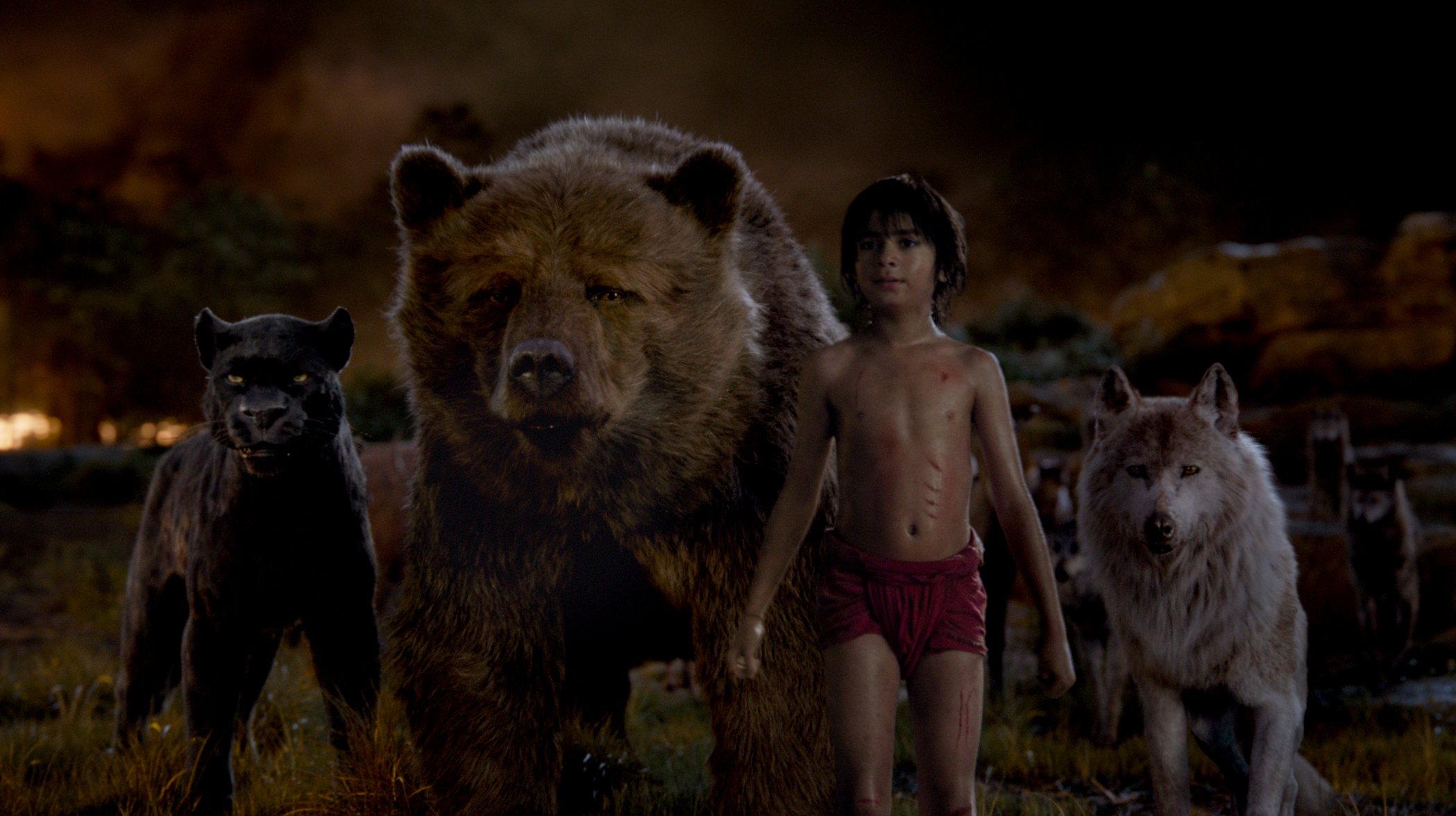 Feral Children - HD Wallpaper 