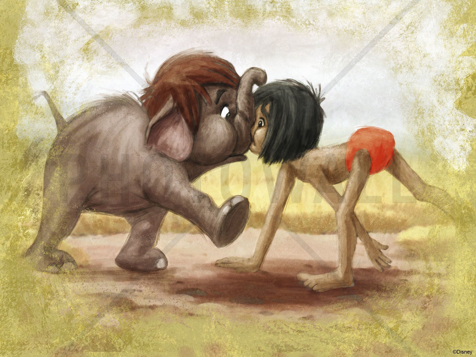 Mowgli - 2000x1500 Wallpaper Mowgli - 2000x1500 Wallpaper
