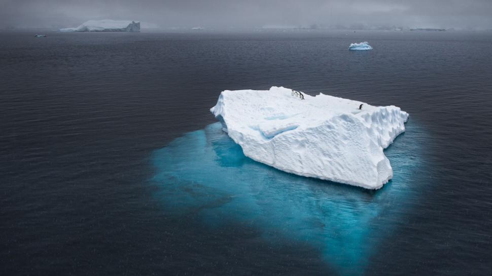 Iceberg Penguin Ocean Ice Hd Wallpaper,nature Wallpaper,ocean - Ice Berg In Ocean - HD Wallpaper 