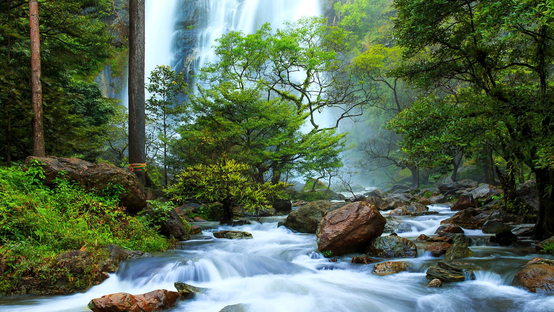 Beautiful Waterfalls Forest Hd - HD Wallpaper 