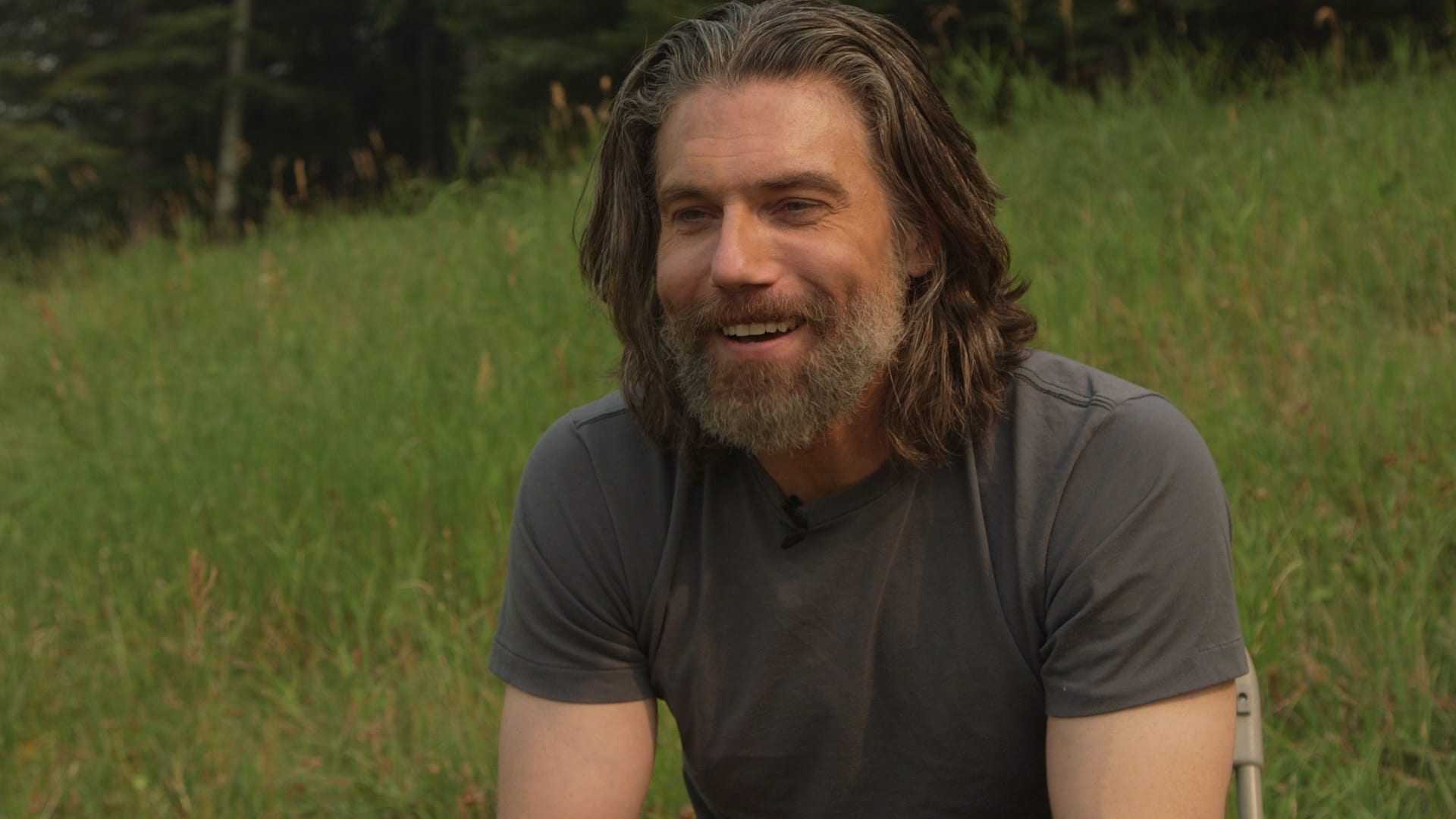 Grass - HD Wallpaper 