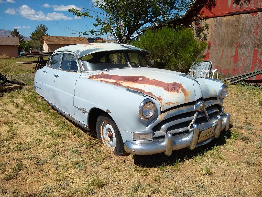 Hudson Wasp - HD Wallpaper 