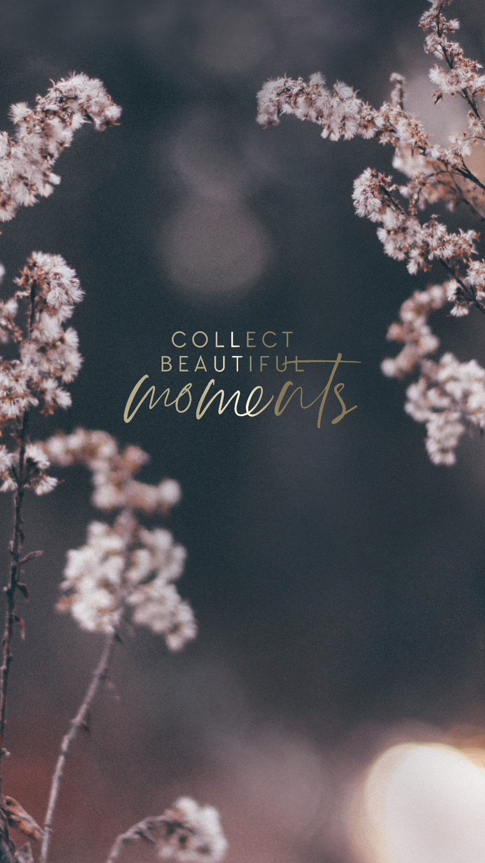 February Desktop Wallpaper 2020 - HD Wallpaper 