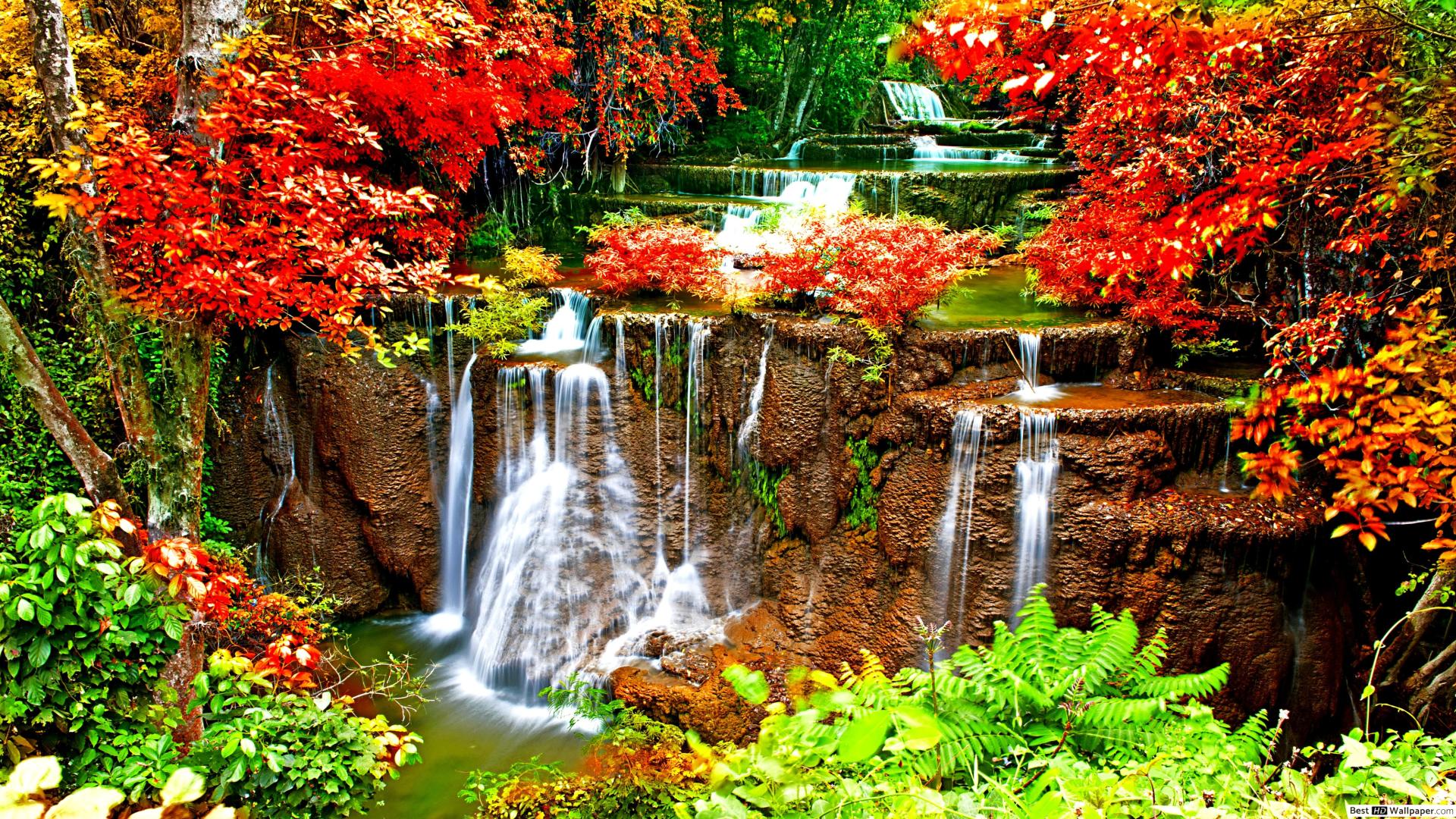 Waterfall Surrounded By Flowers - HD Wallpaper 