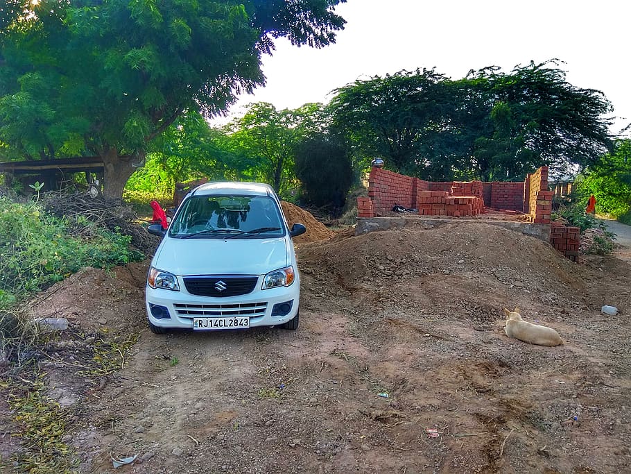 India, Mokhampura, Gurjaro Ka Mohlla, Plant, Tree, - Toyota Innova - HD Wallpaper 