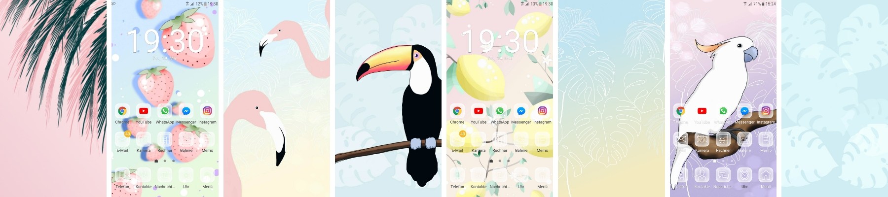 Toucan - HD Wallpaper 