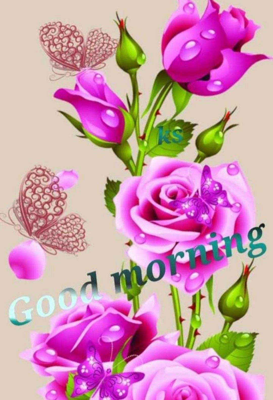 Rose Wallpaper Beautiful Flowers - HD Wallpaper 