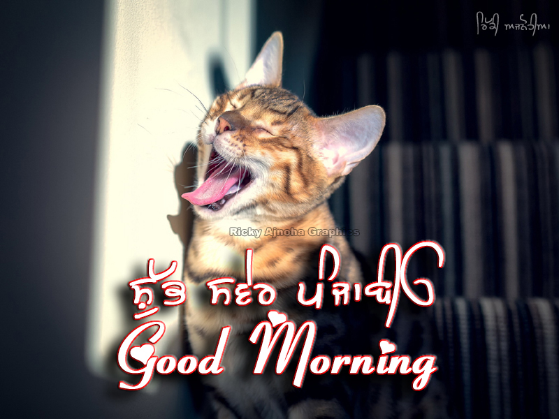 Good Morning Punjabi Style - HD Wallpaper 