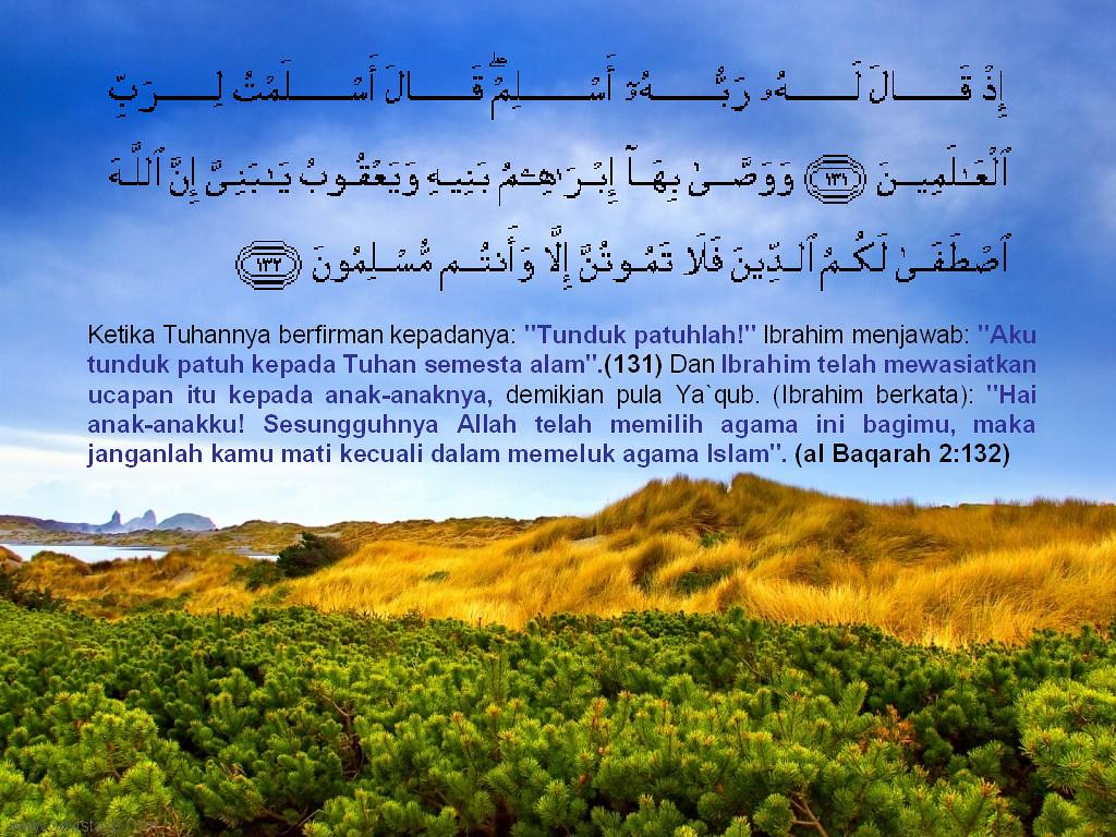 Windows Vista Stock - HD Wallpaper 