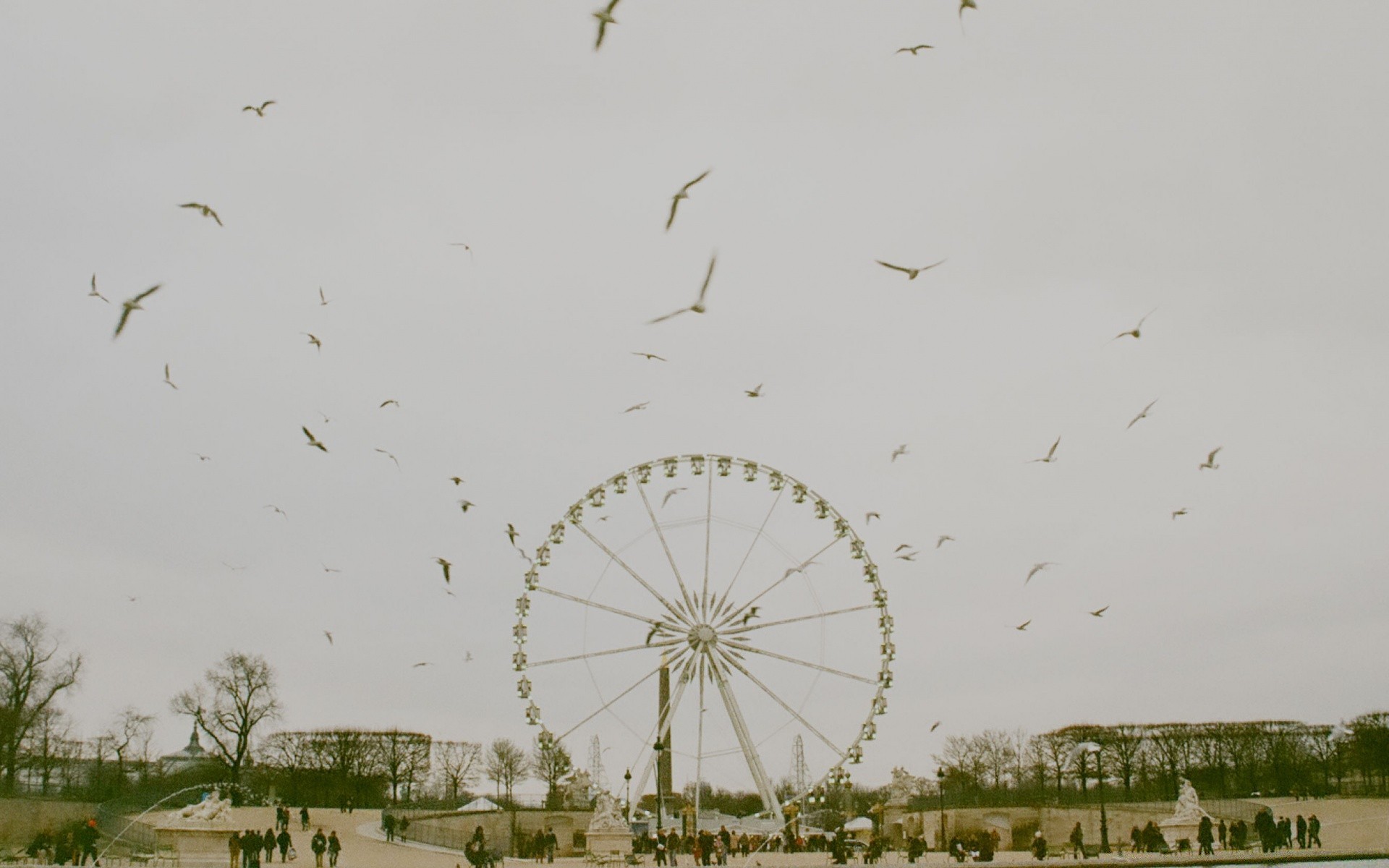 Vintage Sky Water Bird Outdoors Landscape Nature Daylight - HD Wallpaper 