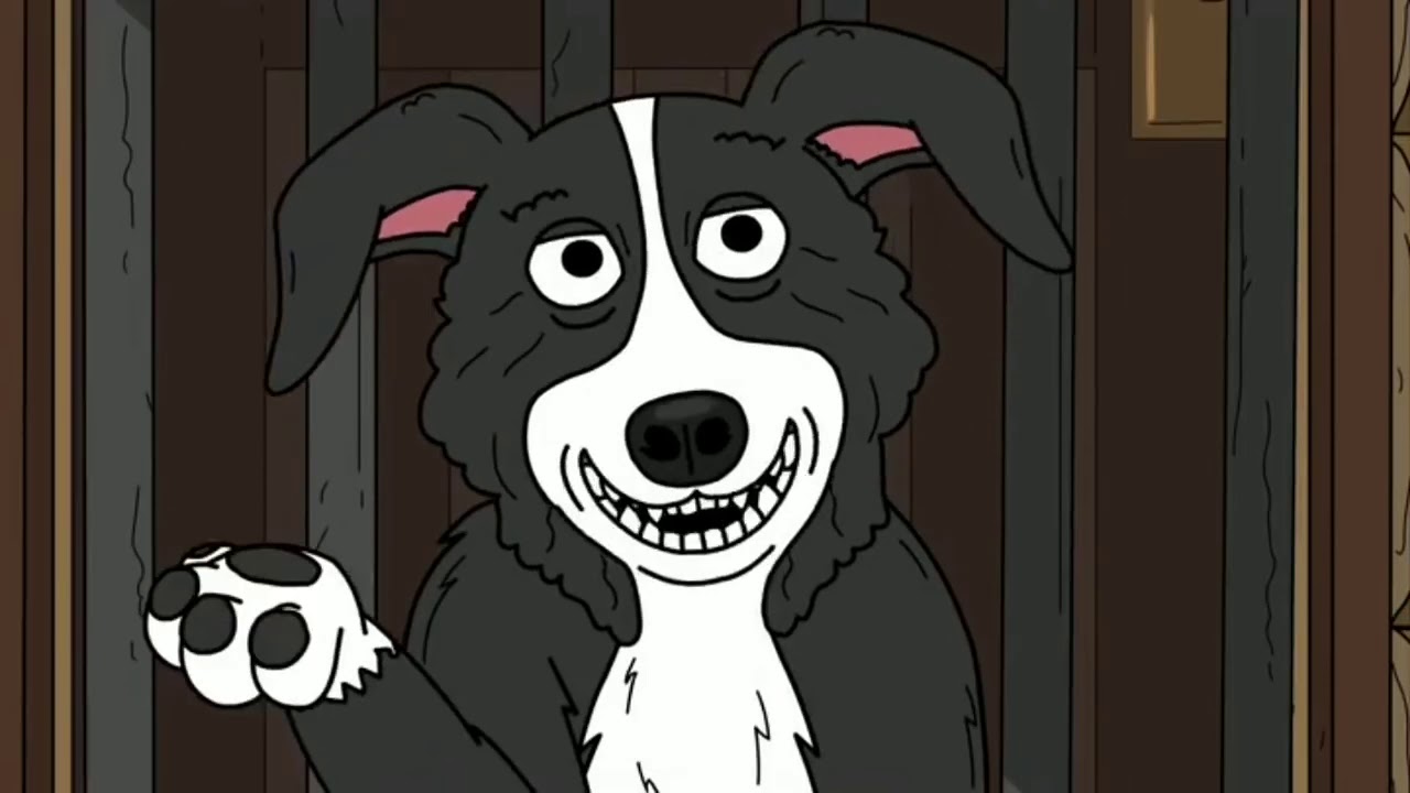 Dog Yawns - HD Wallpaper 