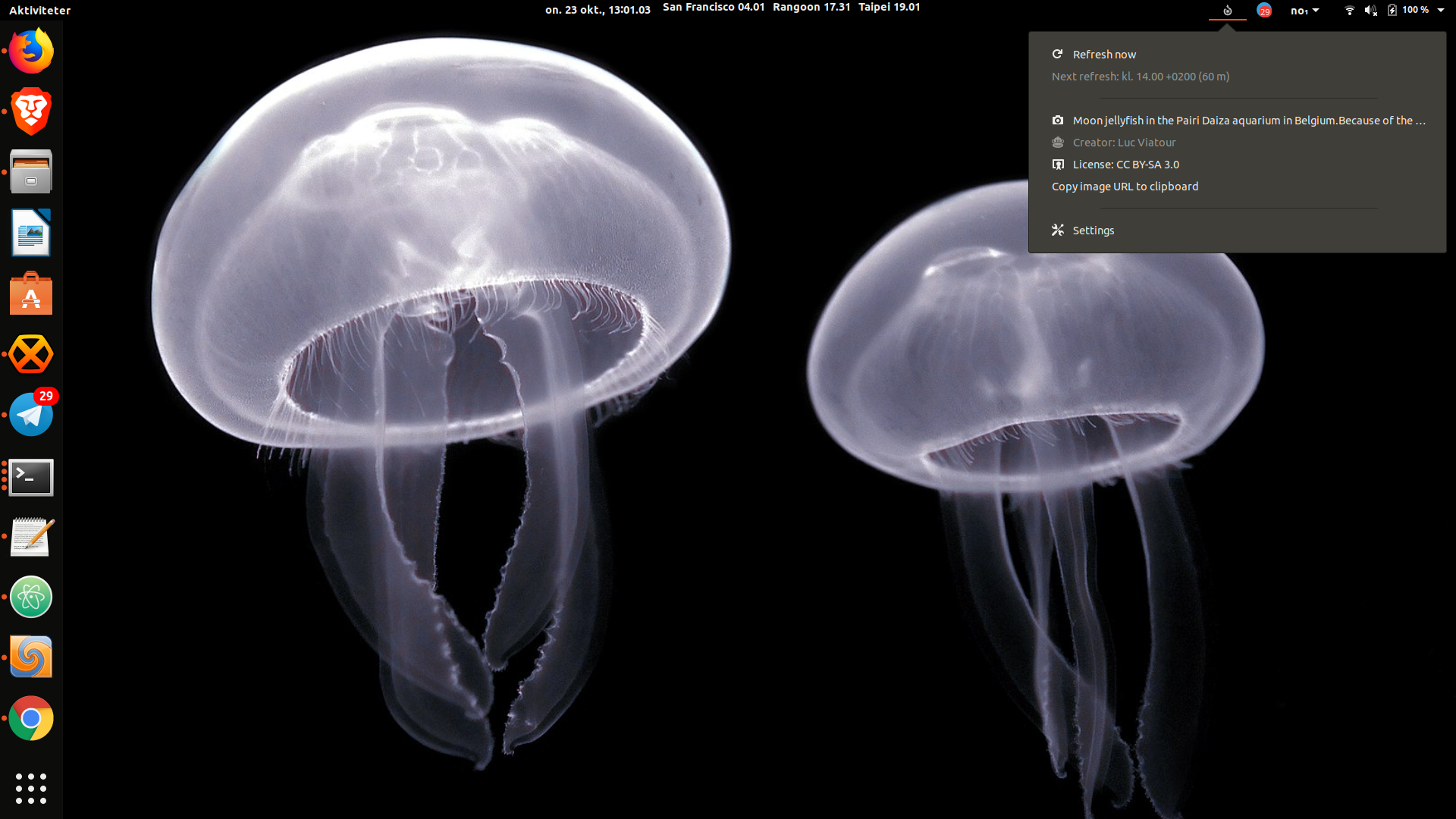 Moon Jellyfish - HD Wallpaper 