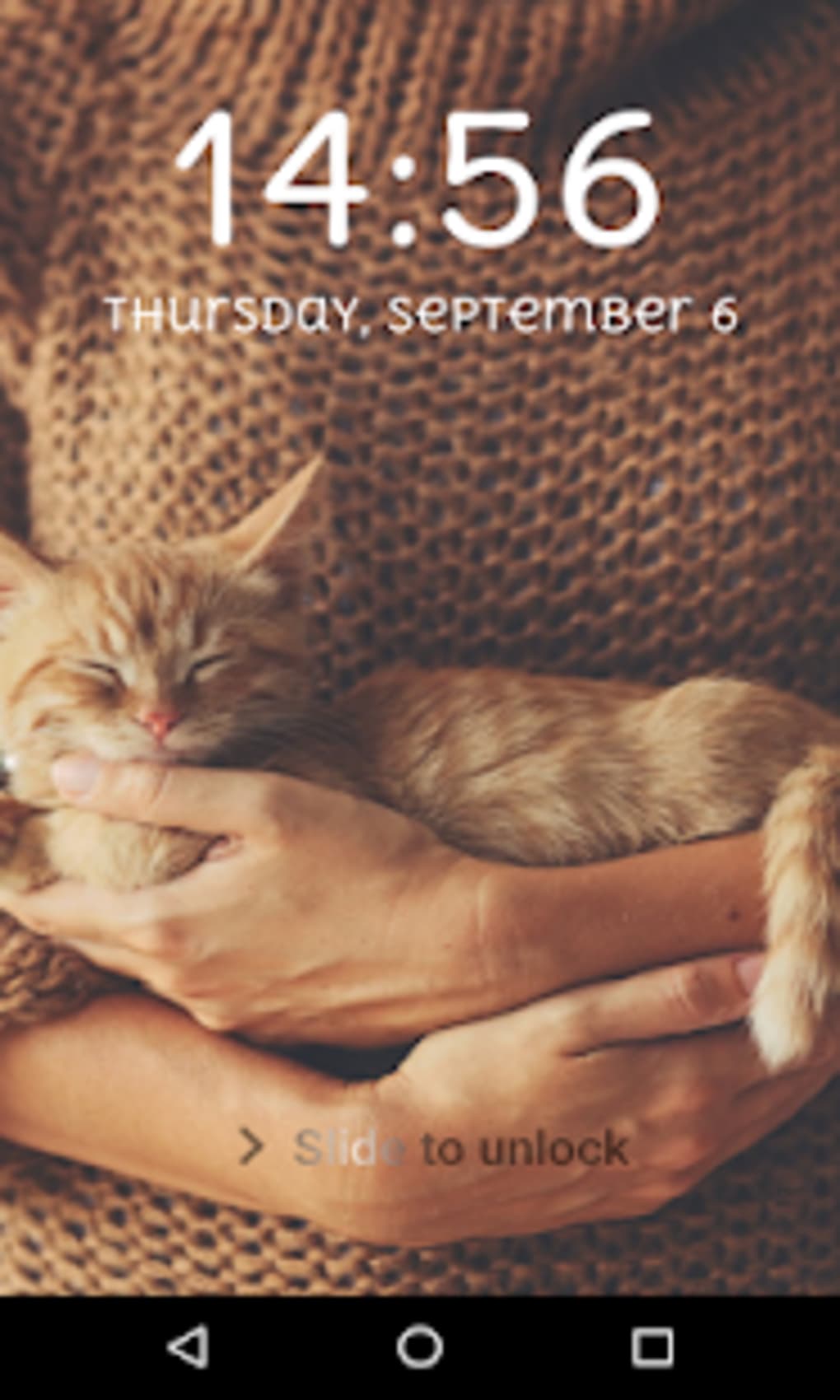 Compassion For Cats - HD Wallpaper 