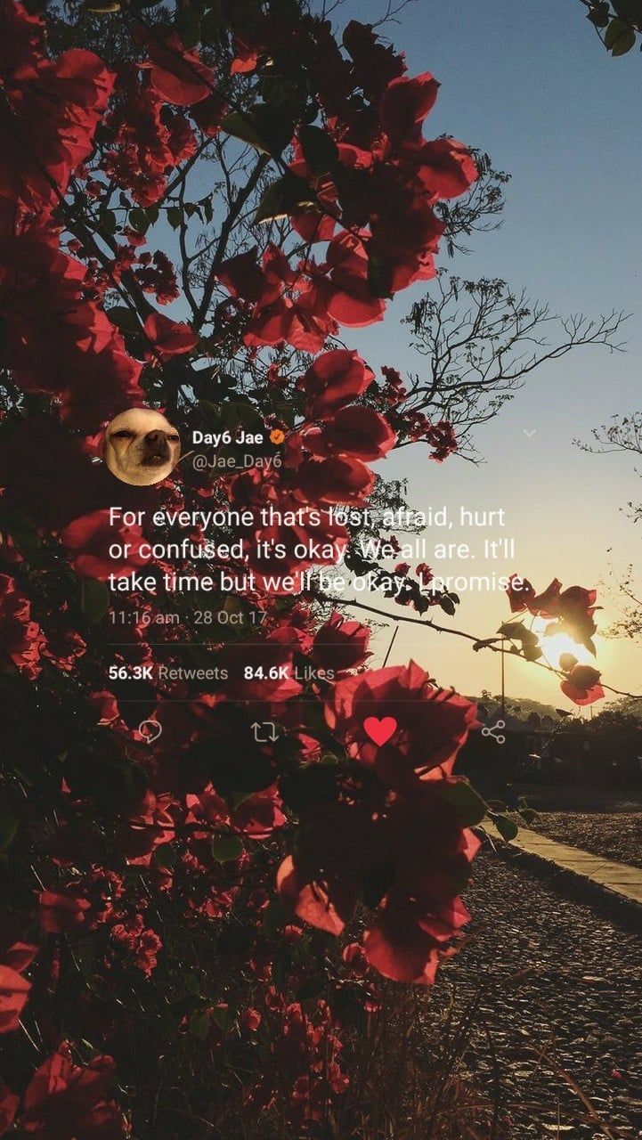 Iphone Flower - HD Wallpaper 