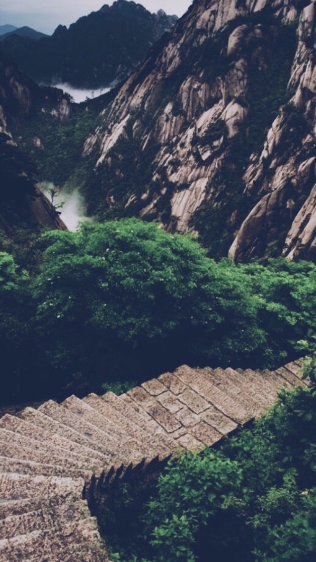 Lost In The Woods Words - HD Wallpaper 