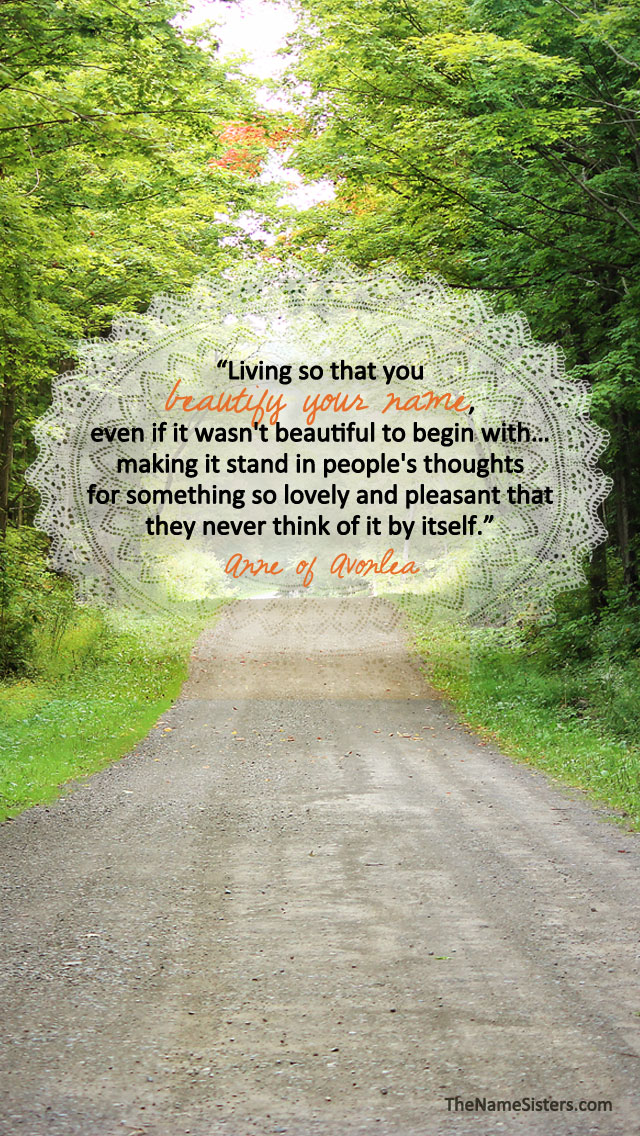 Iphone-5 - Tree - HD Wallpaper 