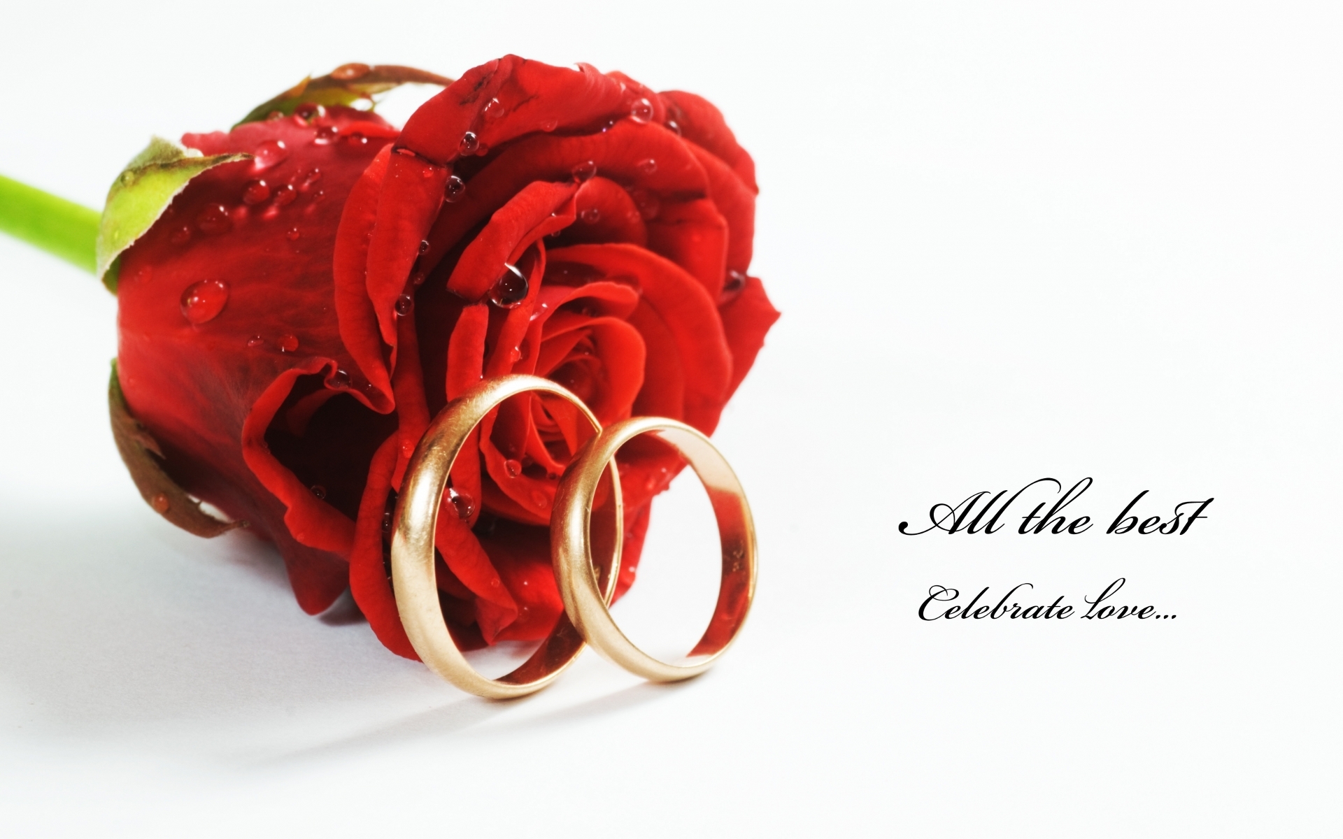Red Roses Hd Wallpapers - All The Best For The Wedding - HD Wallpaper 