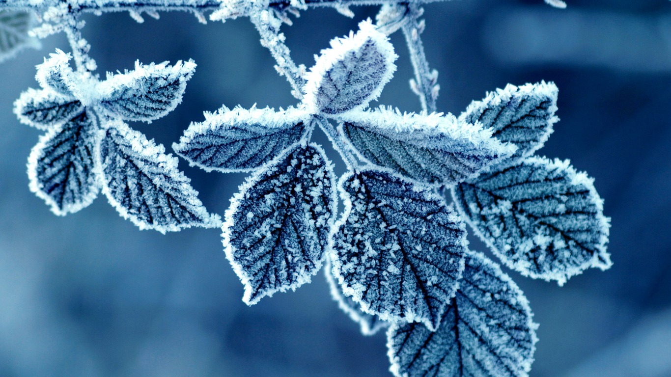 Your Name
ahmad Name Wallpaper - Frosty Meaning In Hindi - HD Wallpaper 