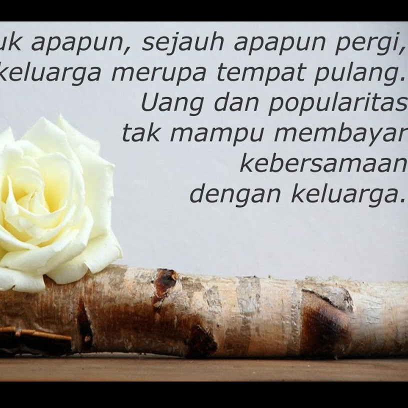 Garden Roses - HD Wallpaper 