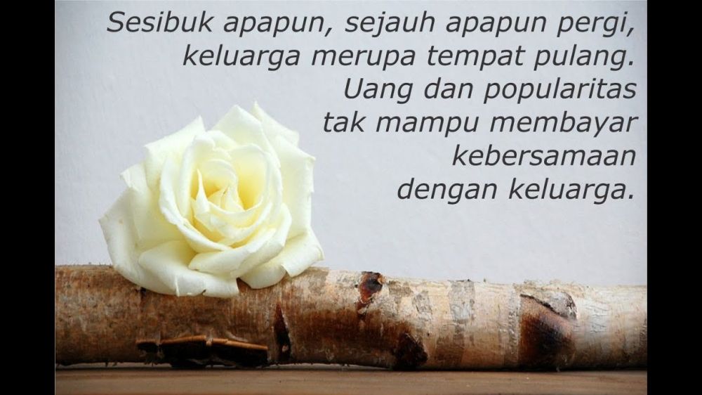 40 Kata-kata Mutiara Tentang Keluarga Menyentuh Hati - Garden Roses - HD Wallpaper 