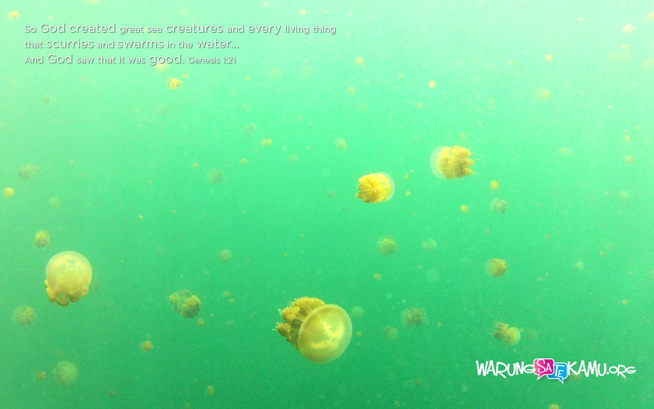 Rohani Kristen Yg Bergerak - HD Wallpaper 