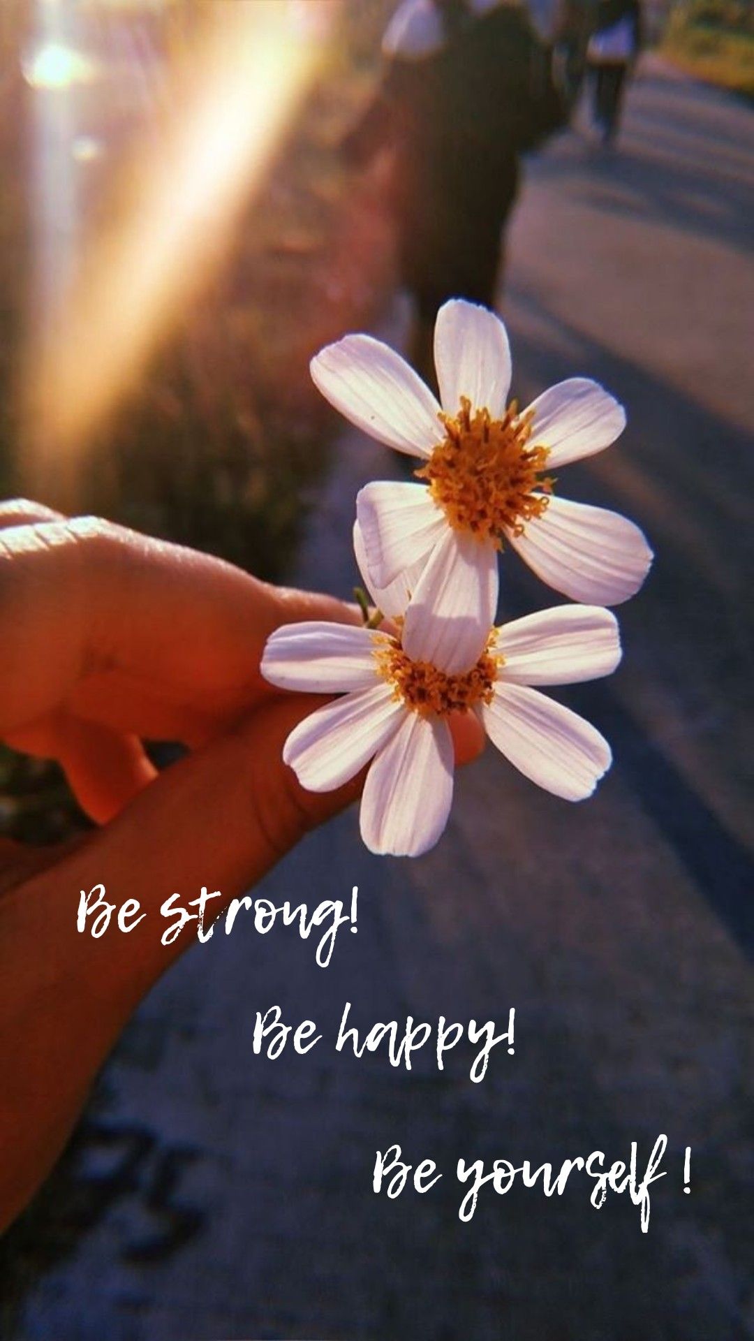 Photography - HD Wallpaper 