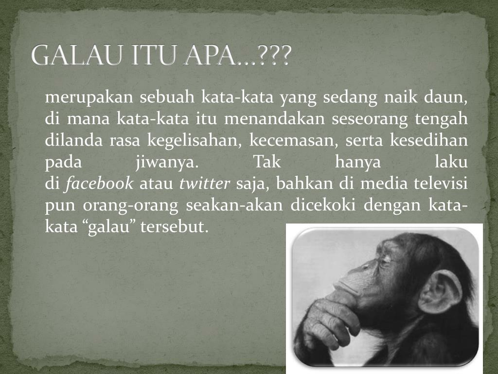 Thinking Monkey - HD Wallpaper 