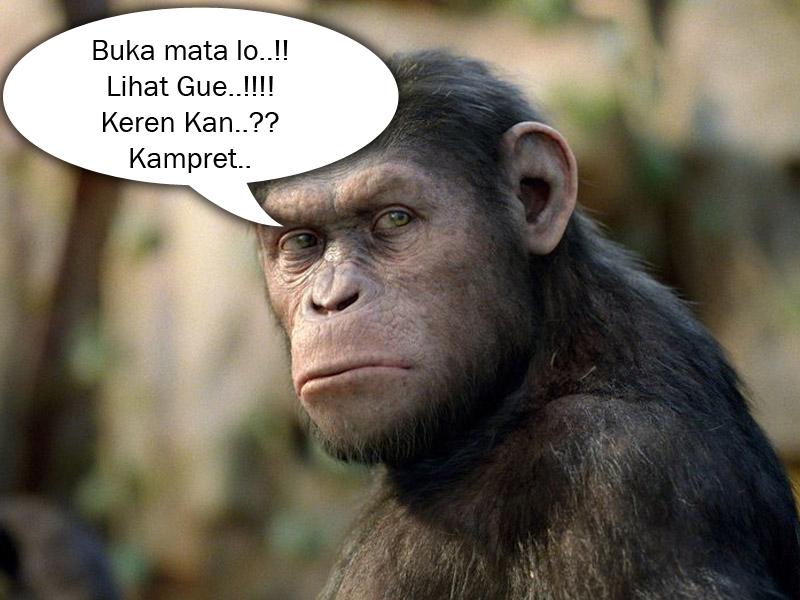 Komentar Lucu - Planet Of The Apes 2011 - HD Wallpaper 
