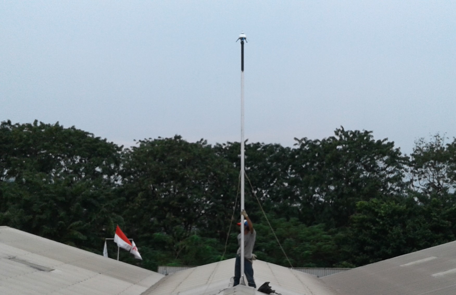 Penangkal Petir-jasa Pasang Penangkal Petir - Tree - HD Wallpaper 