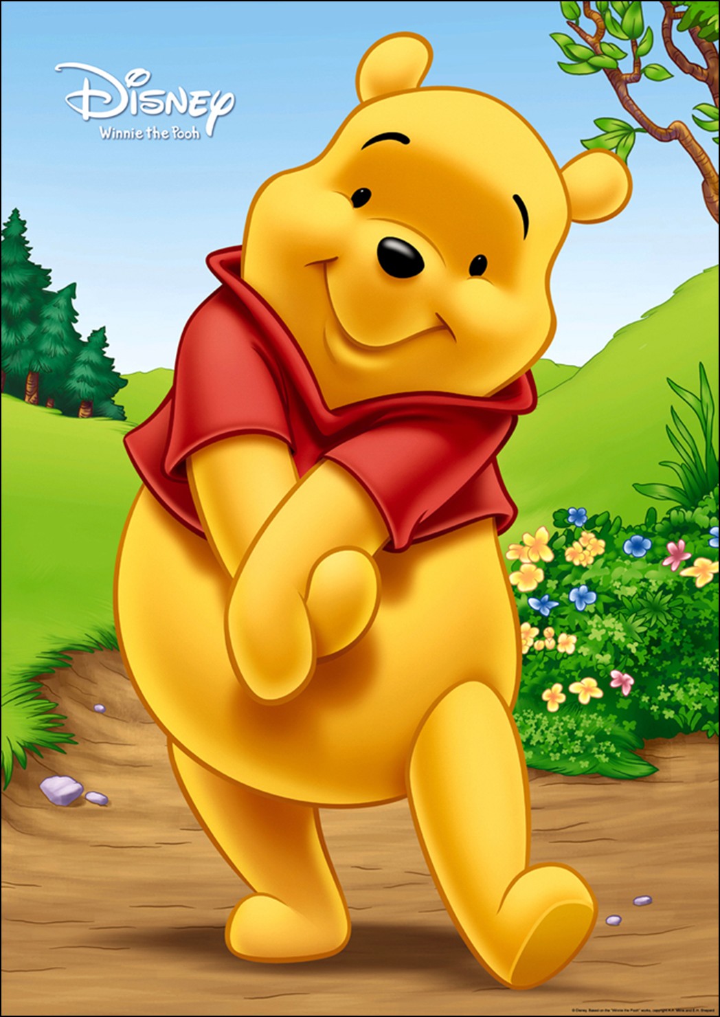 900x1139px 1079216 Winnie The Pooh - Winnie Pooh - HD Wallpaper 