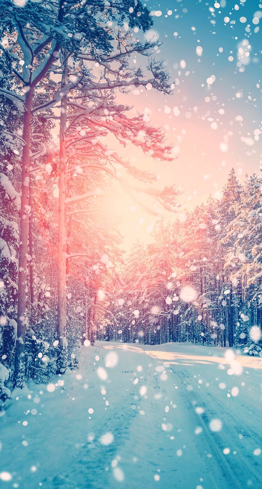 Cute Wallpapers For Winter - HD Wallpaper 