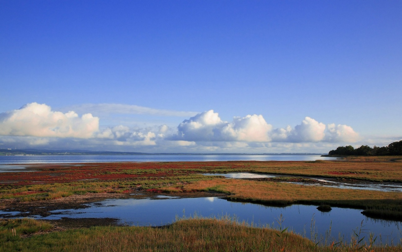 Vast Lake Wallpapers - Vast Lake - HD Wallpaper 