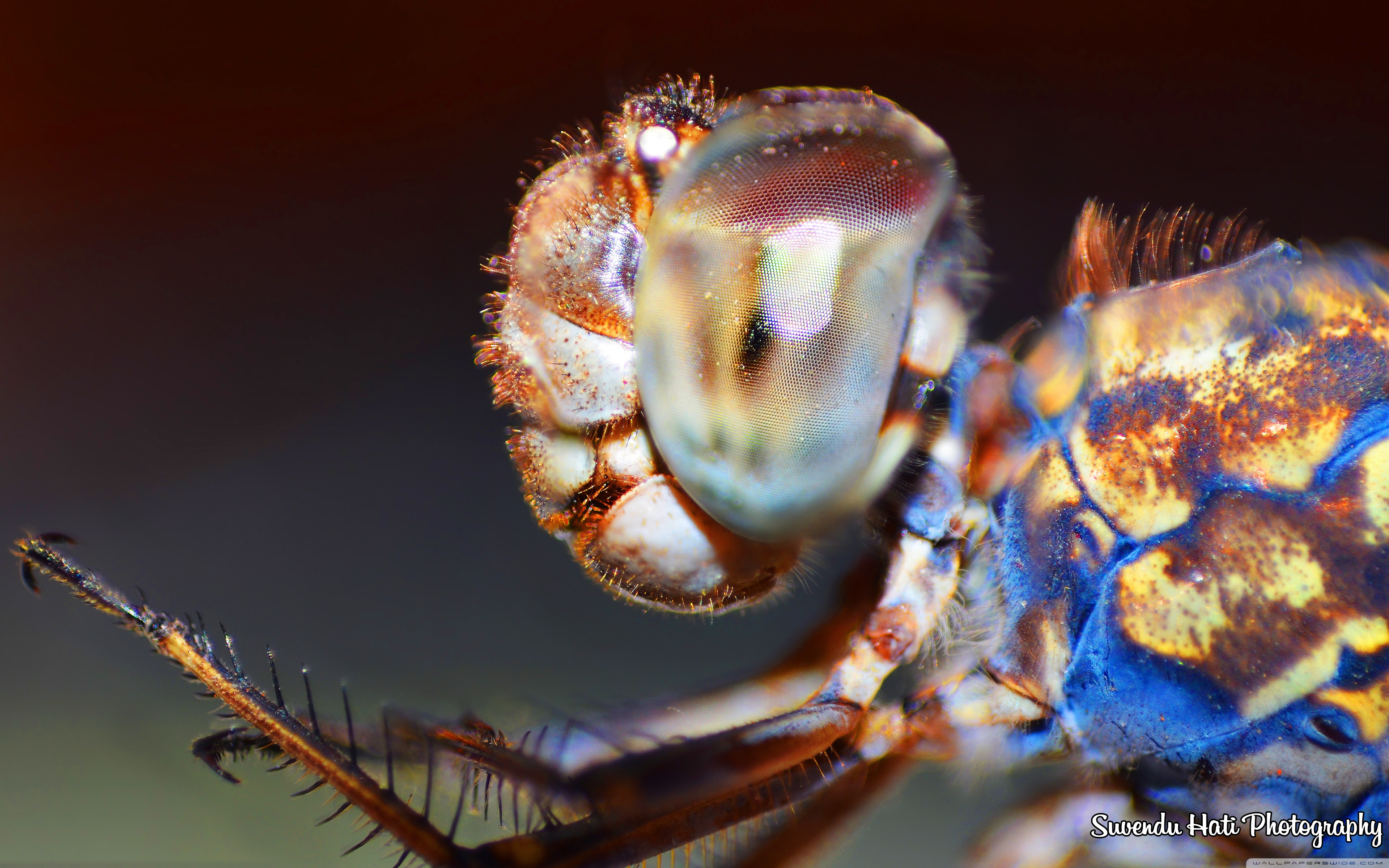 عکس های 4k - HD Wallpaper 