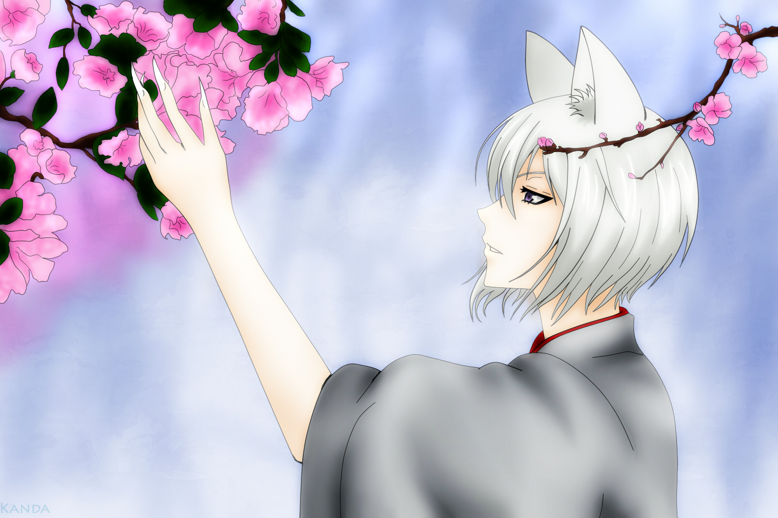 Kamisama Ciuman - Tomoe Kamisama - HD Wallpaper 