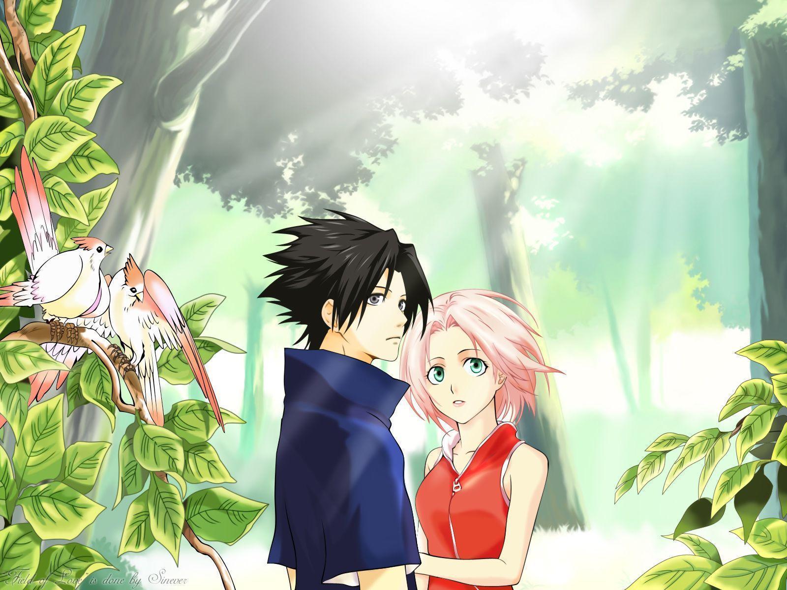 Anime Sasuke Dan Sakura - HD Wallpaper 