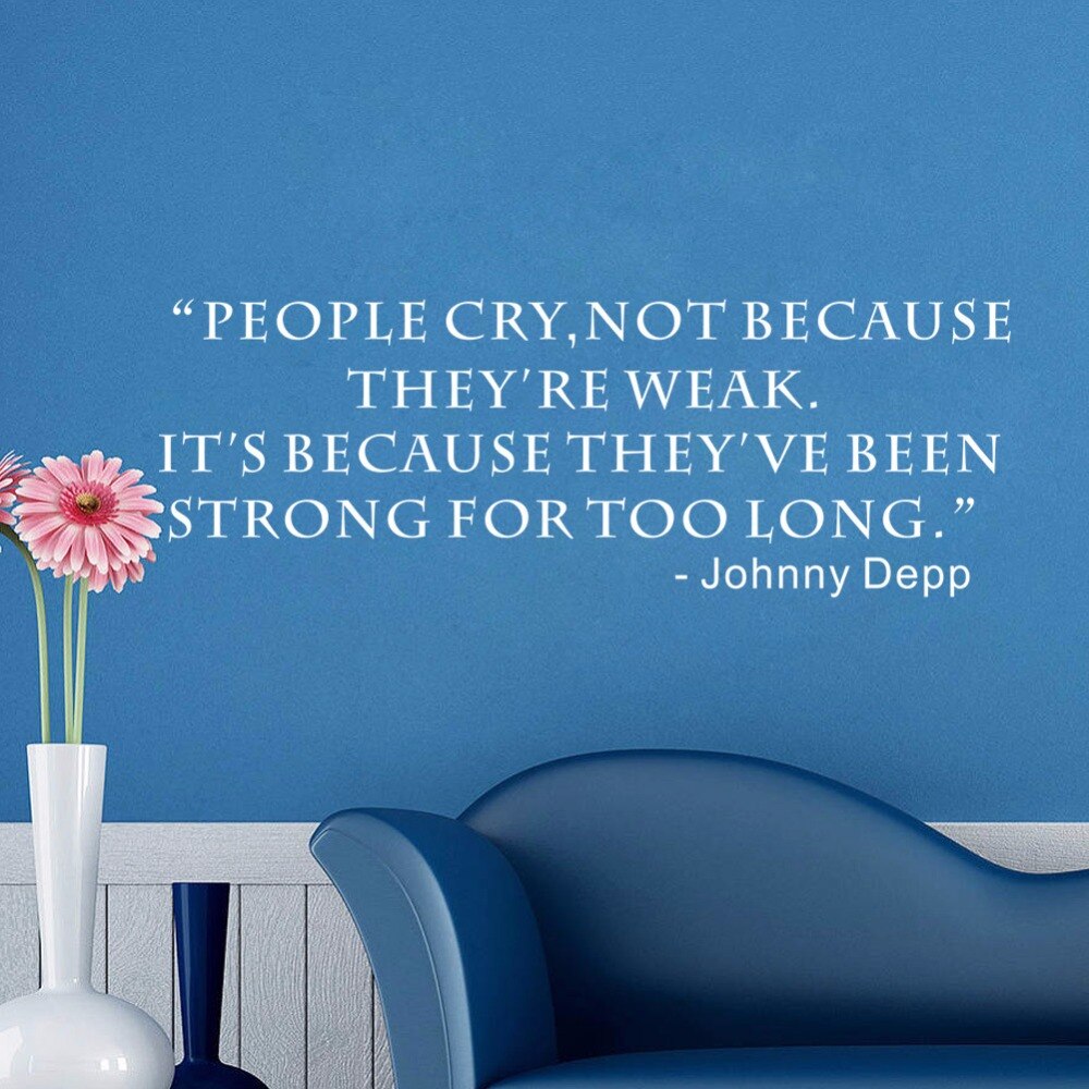 Barberton Daisy - HD Wallpaper 