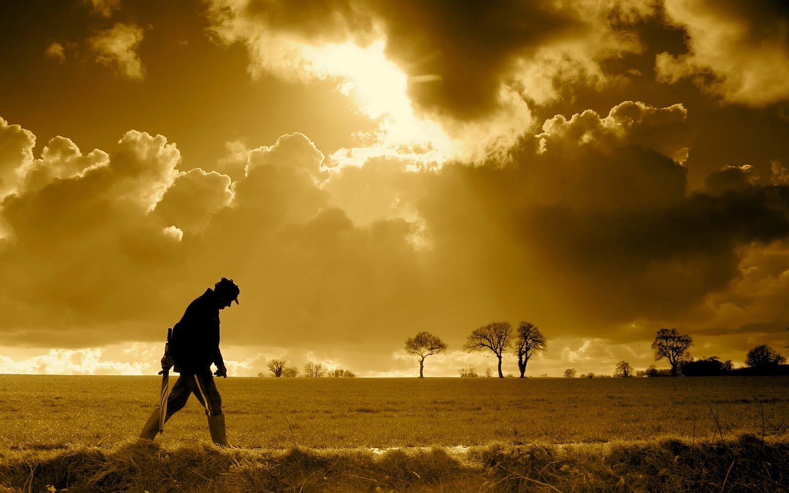 Landscape Hd - HD Wallpaper 