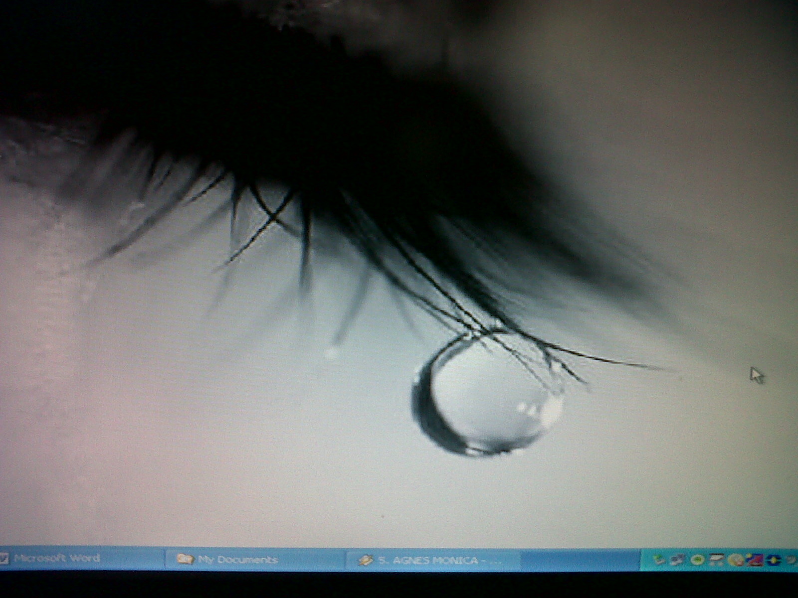 Those Of Us Who Understand No Explanation - HD Wallpaper 