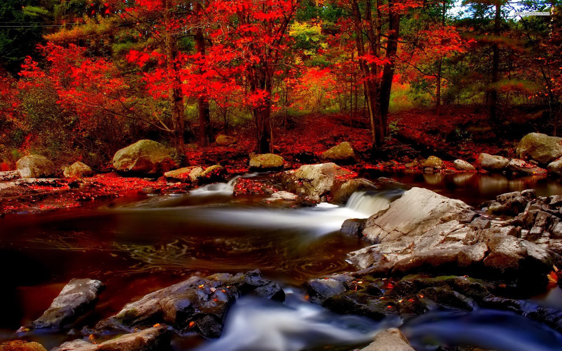 Tributary - HD Wallpaper 