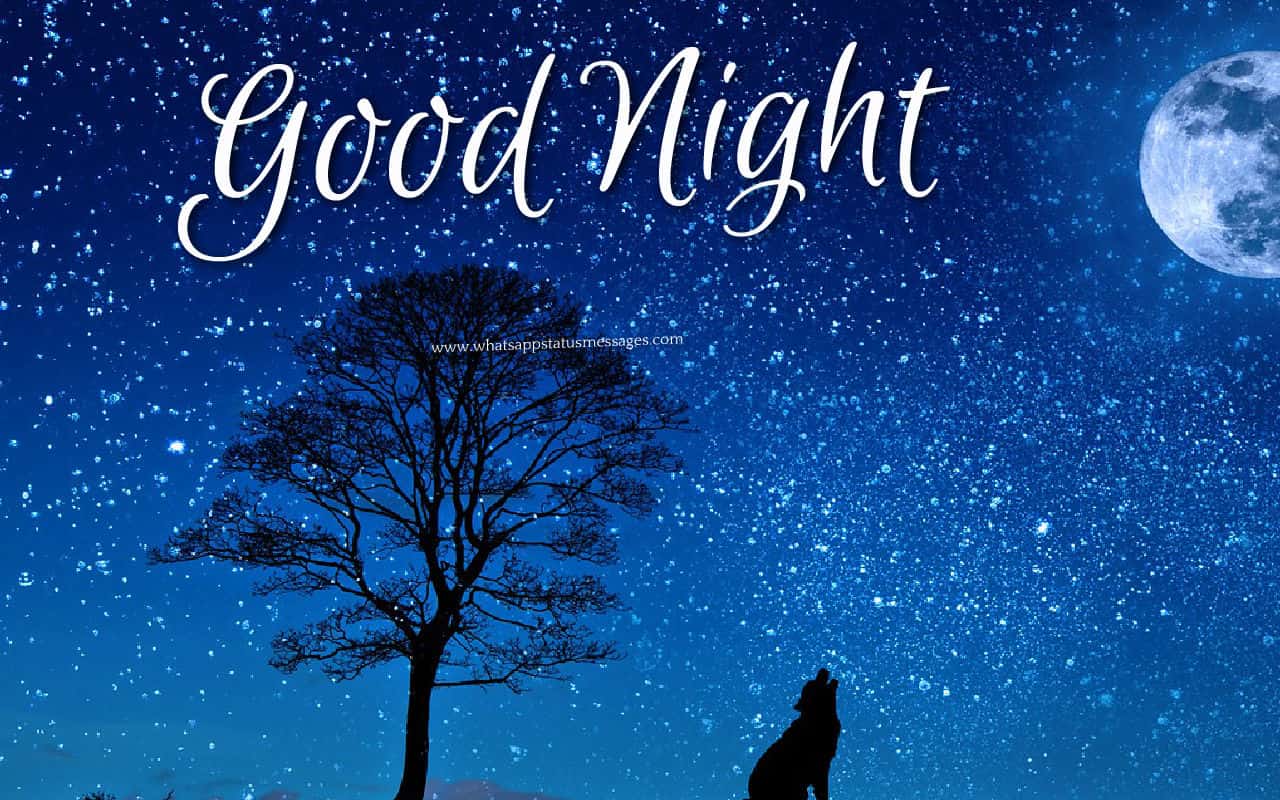 Free Downloading Good Night Messages, wallpaper, background picture, wallpa...