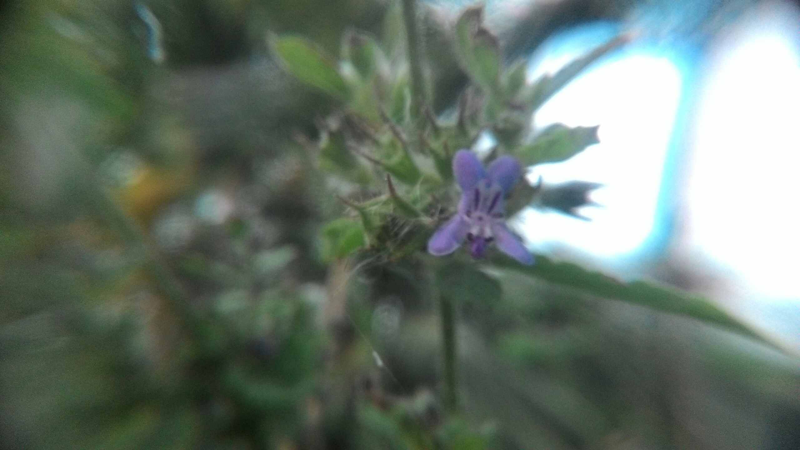 Img 20180412 180418110 - HD Wallpaper 