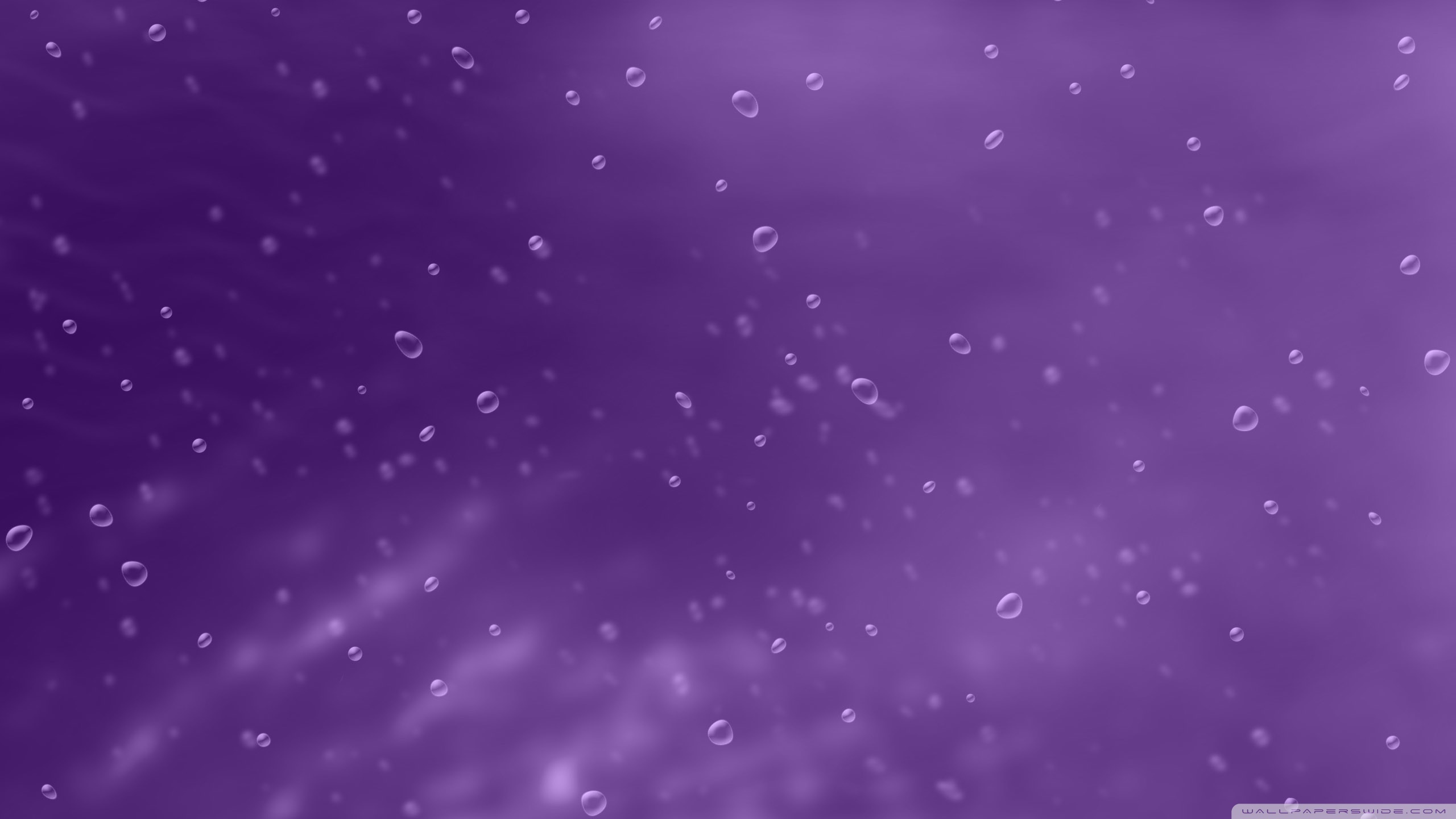 Purple Background - HD Wallpaper 