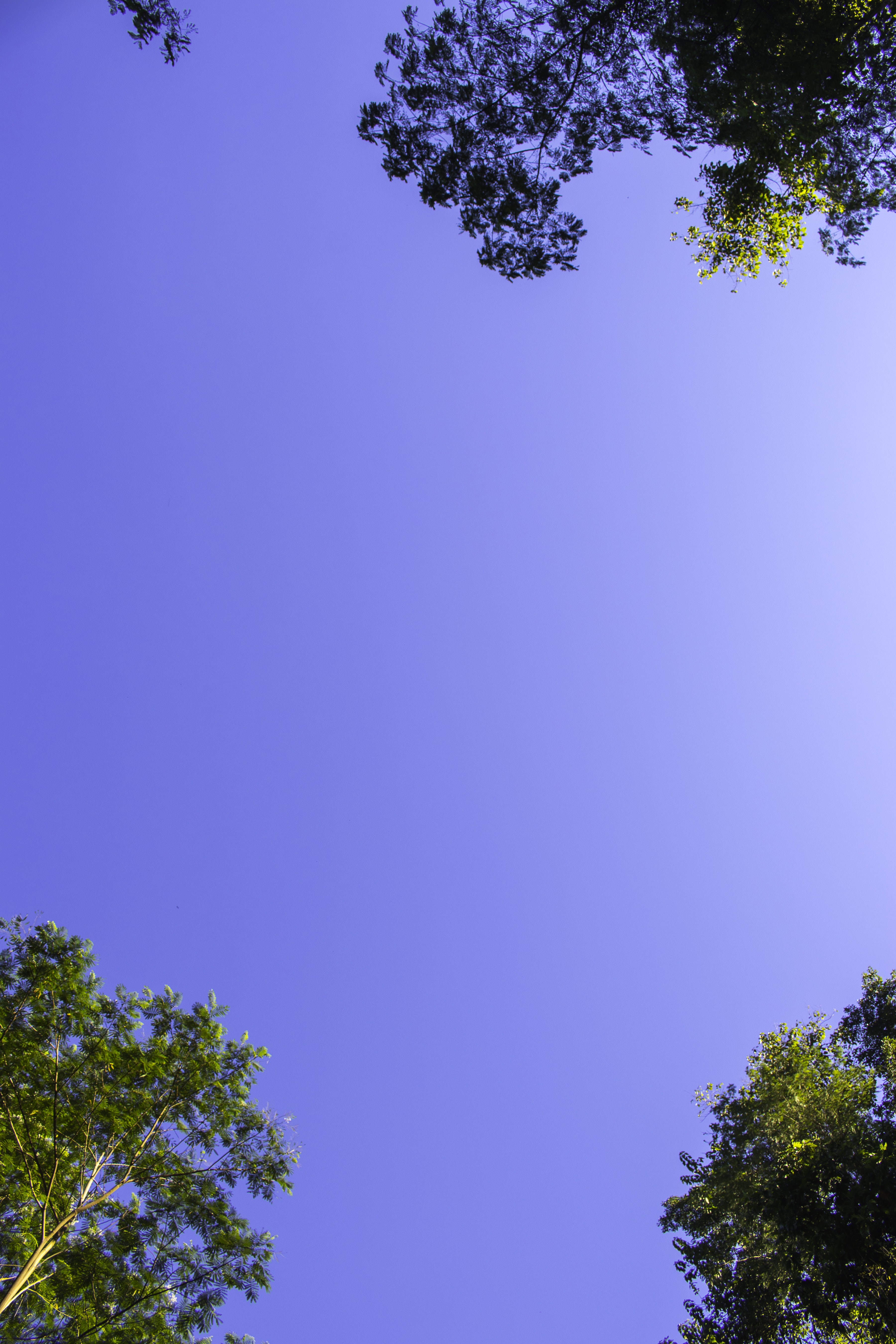 Architecture - HD Wallpaper 